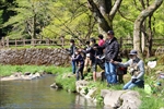安徳の里・姫路公園まつりの画像