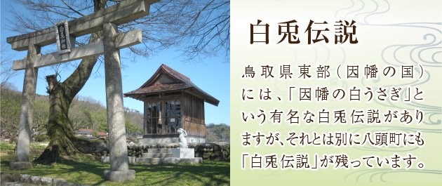白兎伝説 鳥取県東部（因幡の国）には、「因幡の白うさぎ」という有名な白兎伝説がありますが、それとは別に八頭町にも「白兎伝説」が残っています。