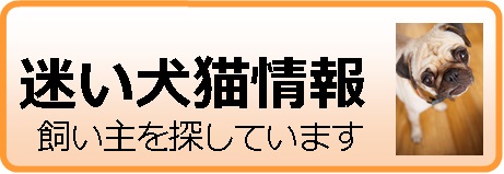 迷い犬猫収容情報（鳥取市保健所）