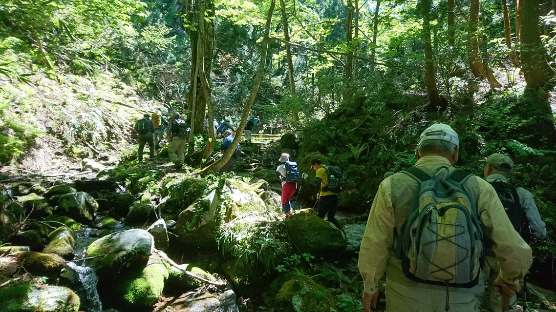 やま開きの当日は良く晴れて、絶好の登山日和だったぴょんの画像1