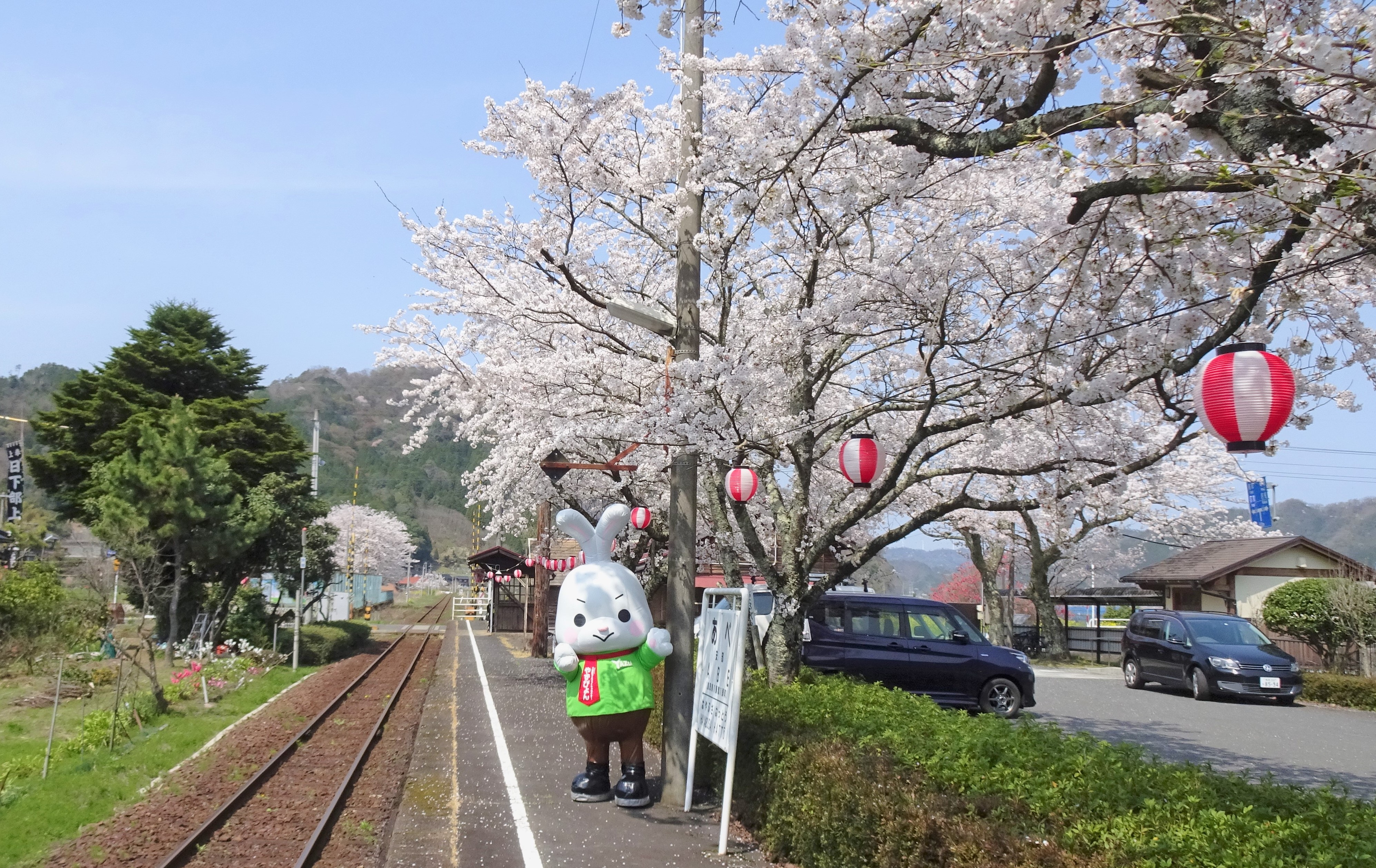 安部駅の桜１