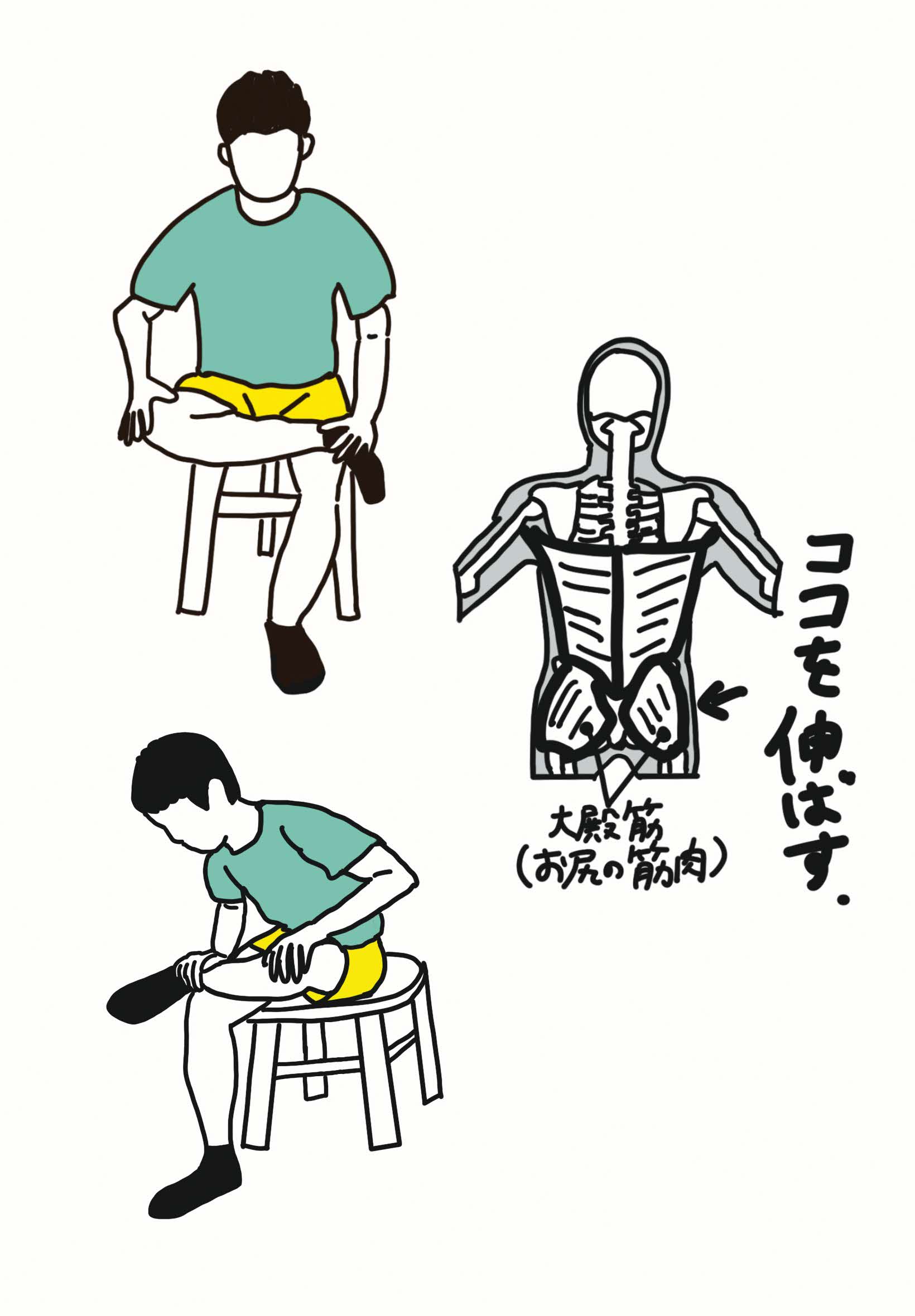 ストレッチの解説イラスト