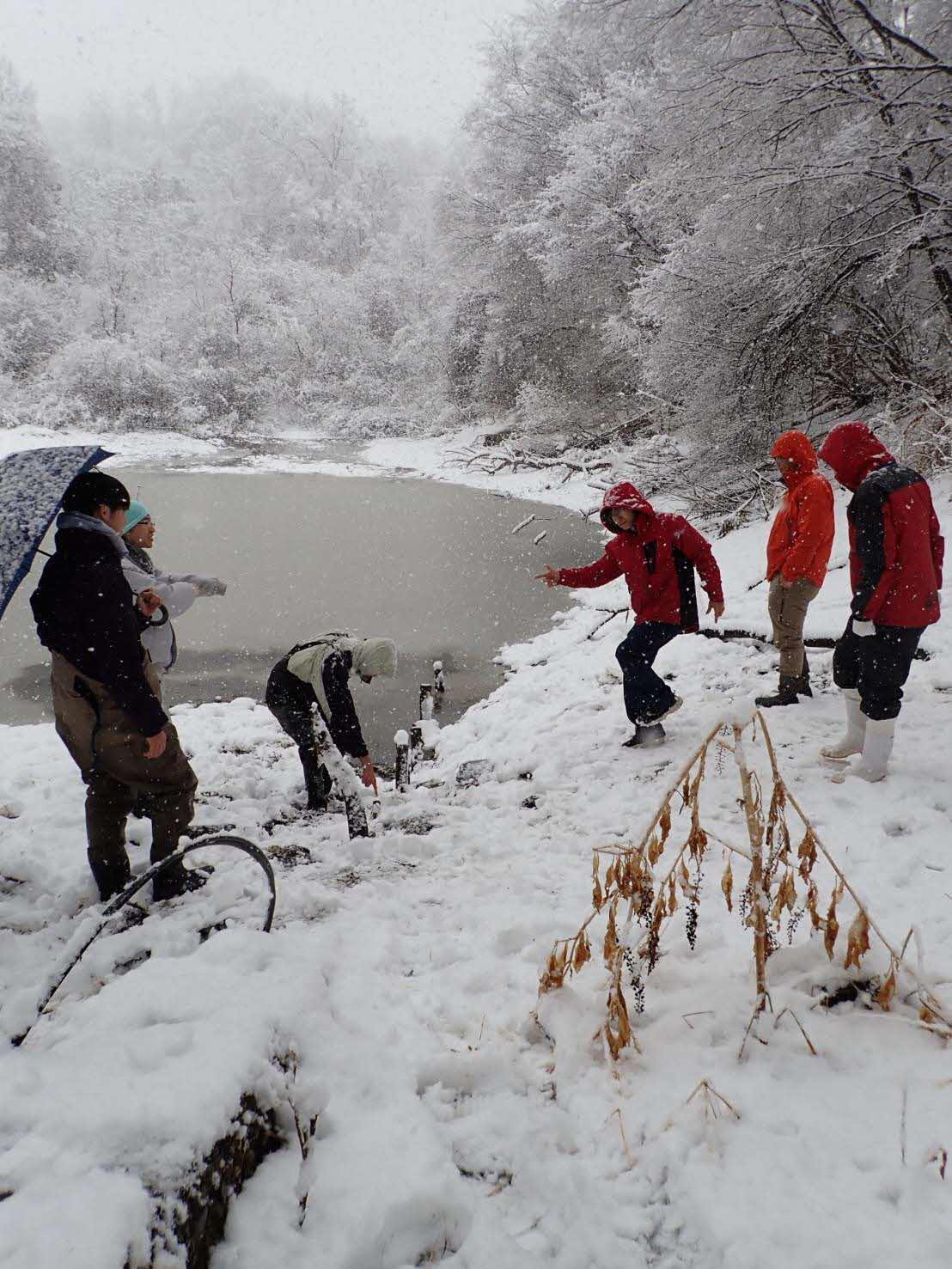 ため池の現地指導