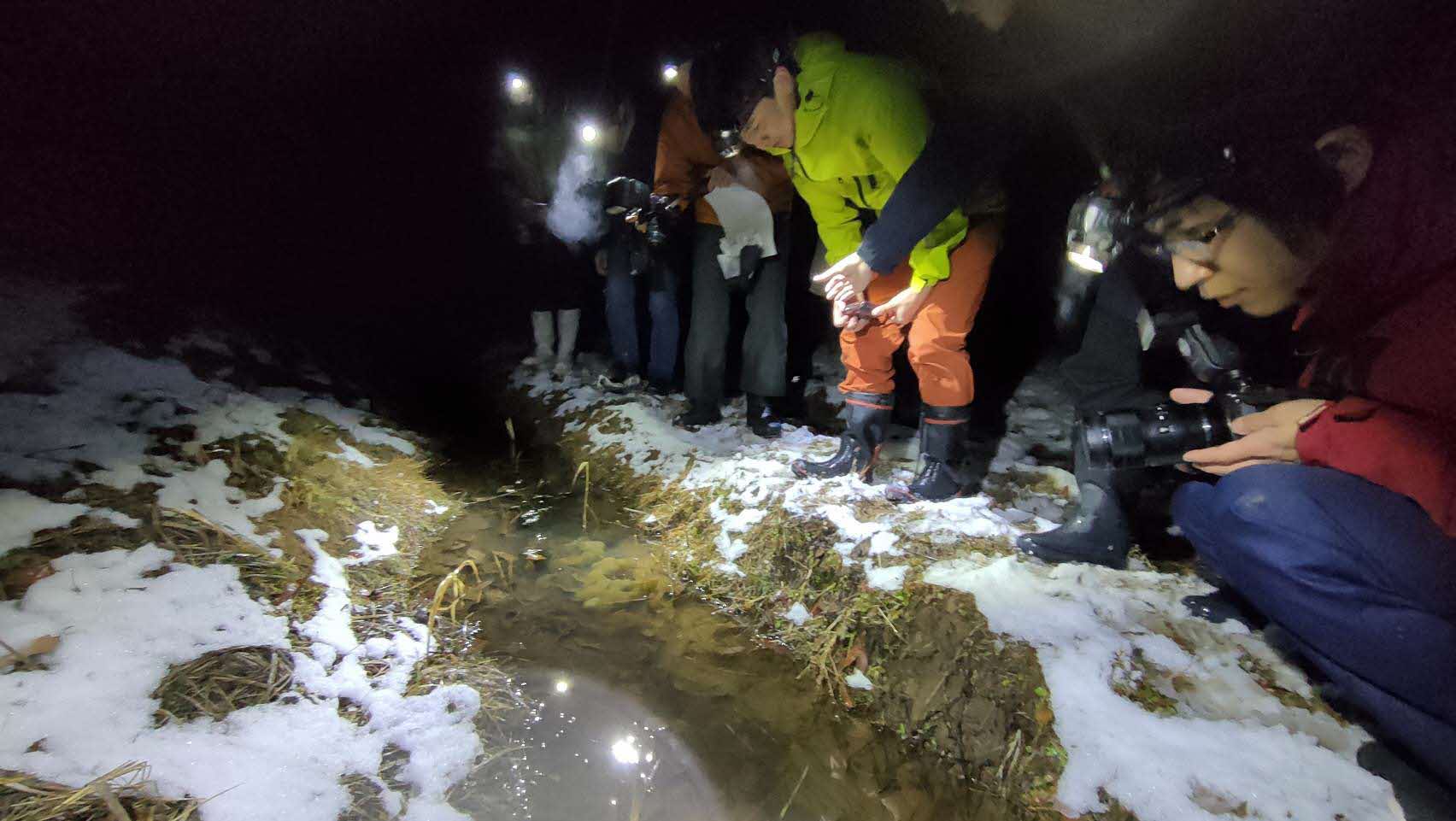夜の水路観察会