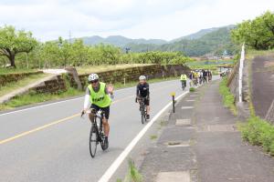 山々の緑を眺めながらサイクリング