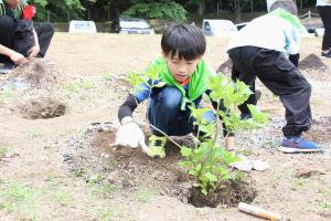 記念植樹でアジサイを植える参加者