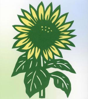 ひまわり