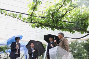 梨園で説明を受ける支援官