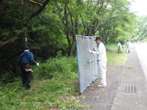 除草作業の様子