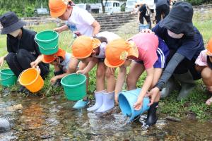 川で元気に泳ぐヤマメを探す園児たち