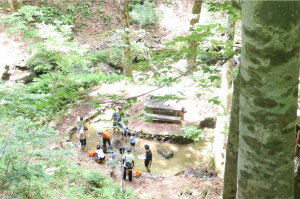 大自然の中ヤマメの掴み取りをする家族連れ