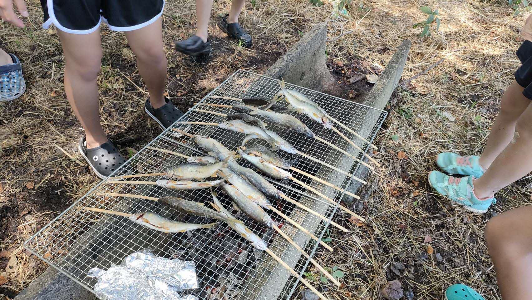 アユの塩焼き