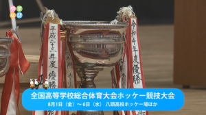 インターハイホッケータイトル画面