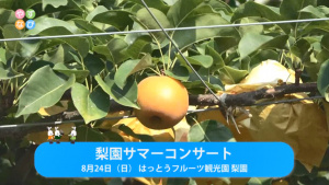 梨園サマーコンサート　タイトル画面