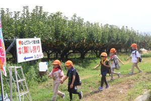 梨園に向かう園児たち