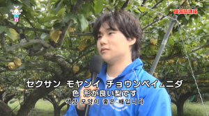 おすすめの梨の紹介場面