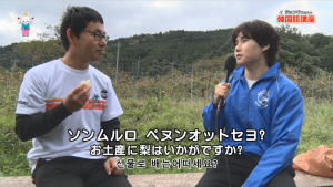 お土産に梨はいかがですか?