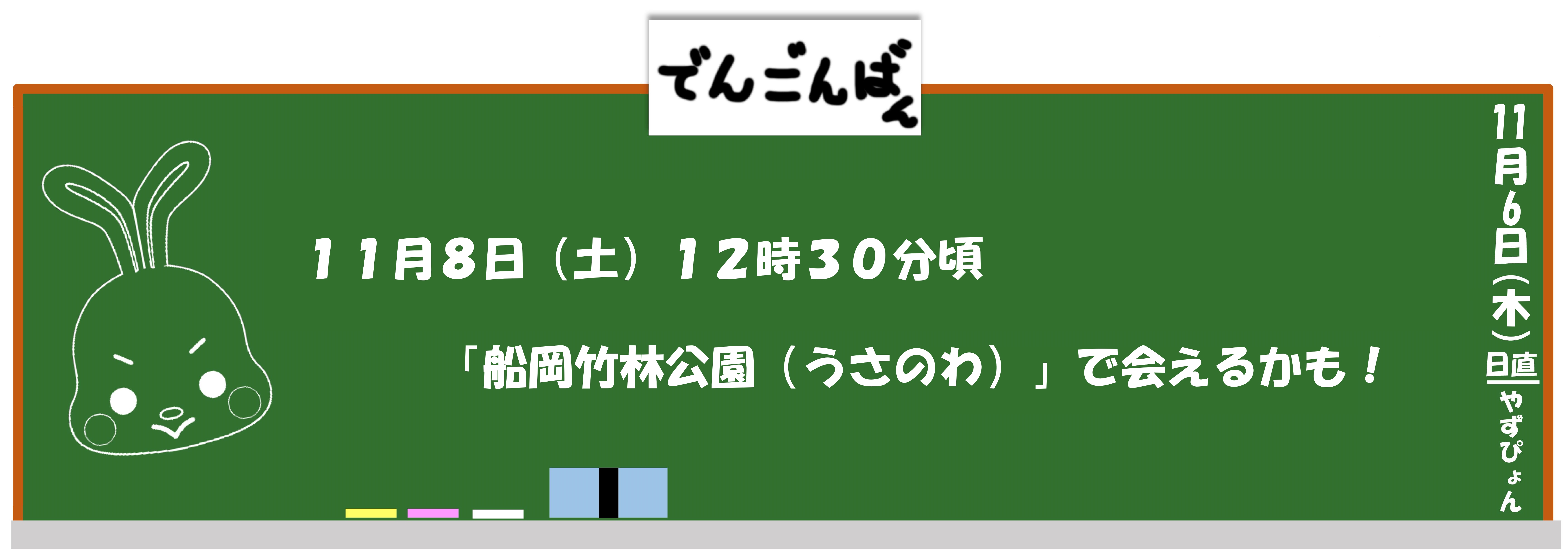 11月8日（土曜日）12時頃半から「船岡竹林公園（うさのわ）」で会えるかも！