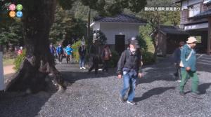 新興寺地内のウォーキング