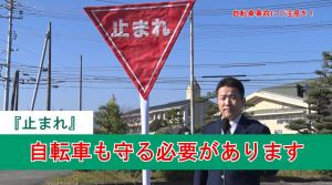 一時停止の解説