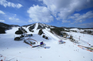 スキー場の写真