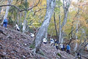登山している様子