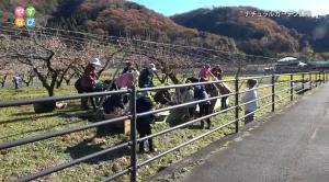 ガーデンメンテナンスの様子