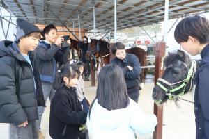 馬が草を食べる様子を眺める参加者