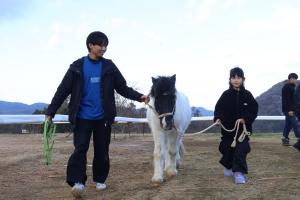 馬の手綱を引く子ども