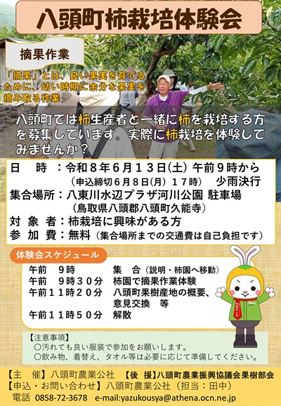 チラシ