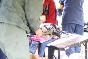 ヒナに足環を装着する様子