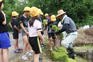 藤田さんから苗を受け取る児童たち