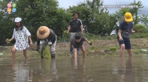 児童の田植えの様子