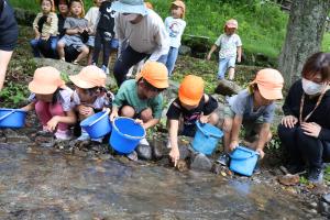 放流後にヤマメの稚魚を見つける子どもたち