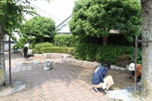 草取り作業をする参加者の様子②