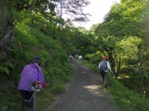 除草作業の様子①