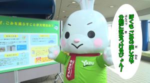 やずぴょん