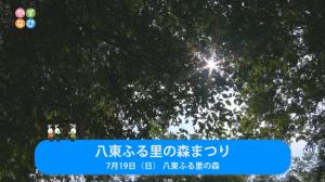 八東ふる里の森まつり