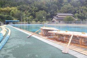 完成したいかだ