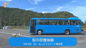 梨の収穫体験 タイトル画面