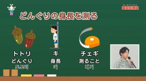 韓国語のことわざ