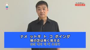 隣の芝は青く見える