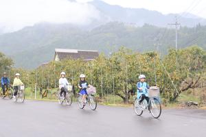 柿畑の横を走り抜ける参加者