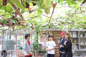 遠藤農園内にあるオズガーデンを視察する学生たち