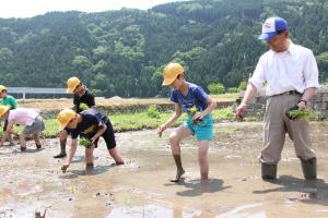 地域の人と一緒に苗を植える児童