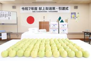 並べられた二十世紀梨