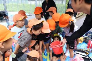 バケツに入れられたヤマメの稚魚を覗き込む子どもたち